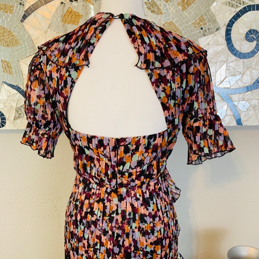 Floral Ruffle Sheer Dress - Picture 3 of 4